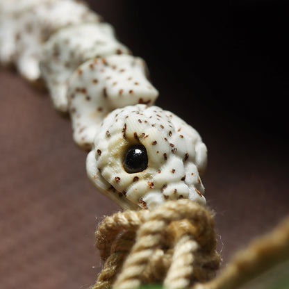 Bracelet sculpté en os de serpent de Bodhi Xingyue de l'écologie originale de Hainan